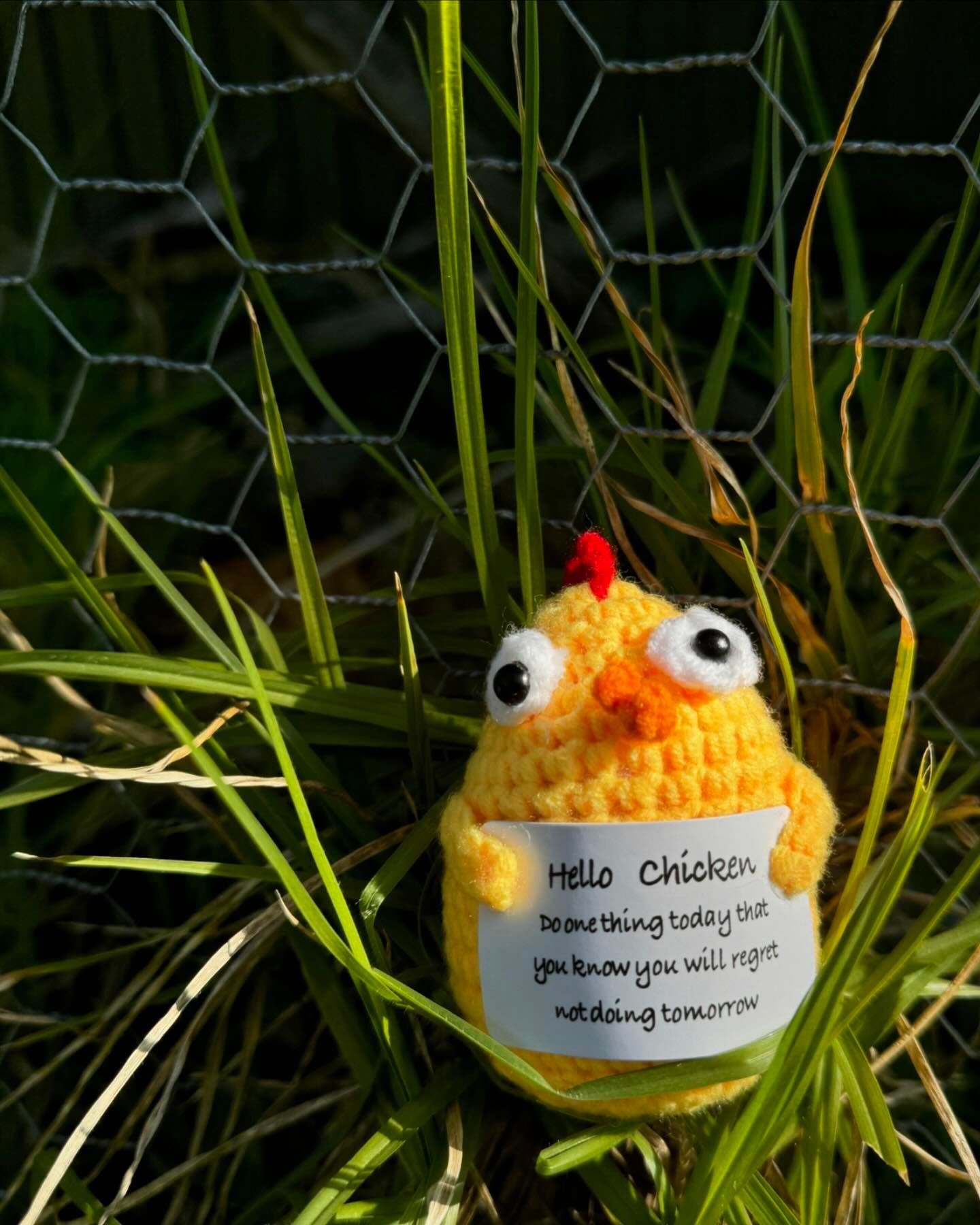 Crocheted yellow chicken plush holding a motivational sign, surrounded by green grass and wire fence.