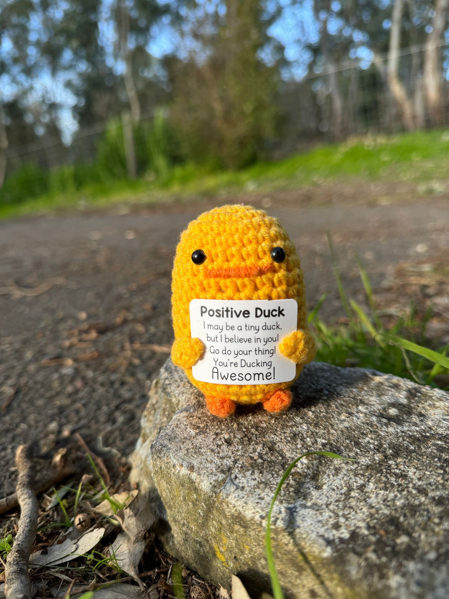 Crocheted duck holding a positive message standing on a rock outdoors with trees in the background.