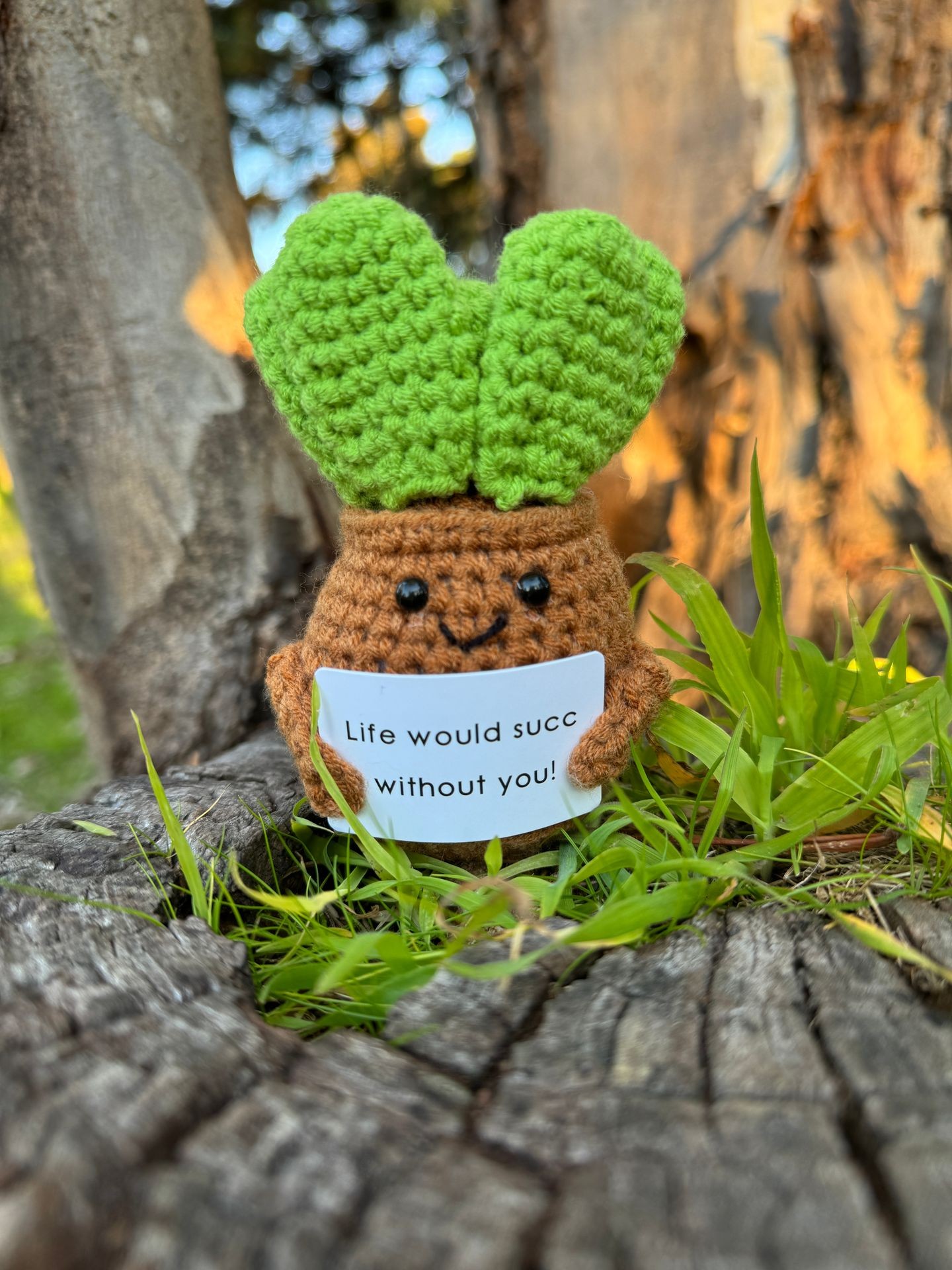 Crocheted plant figure with sign 'Life would succ without you!' on tree stump.