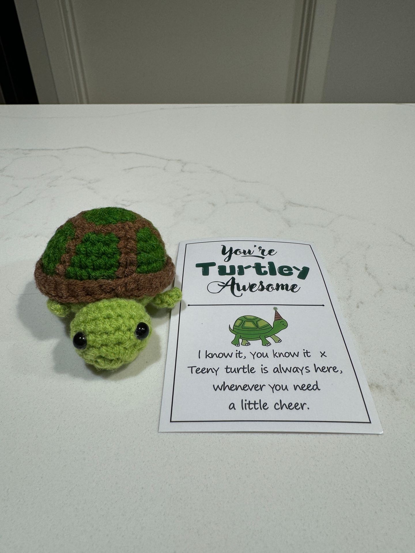 Crocheted green and brown turtle with a card that reads 'You're Turtley Awesome.'