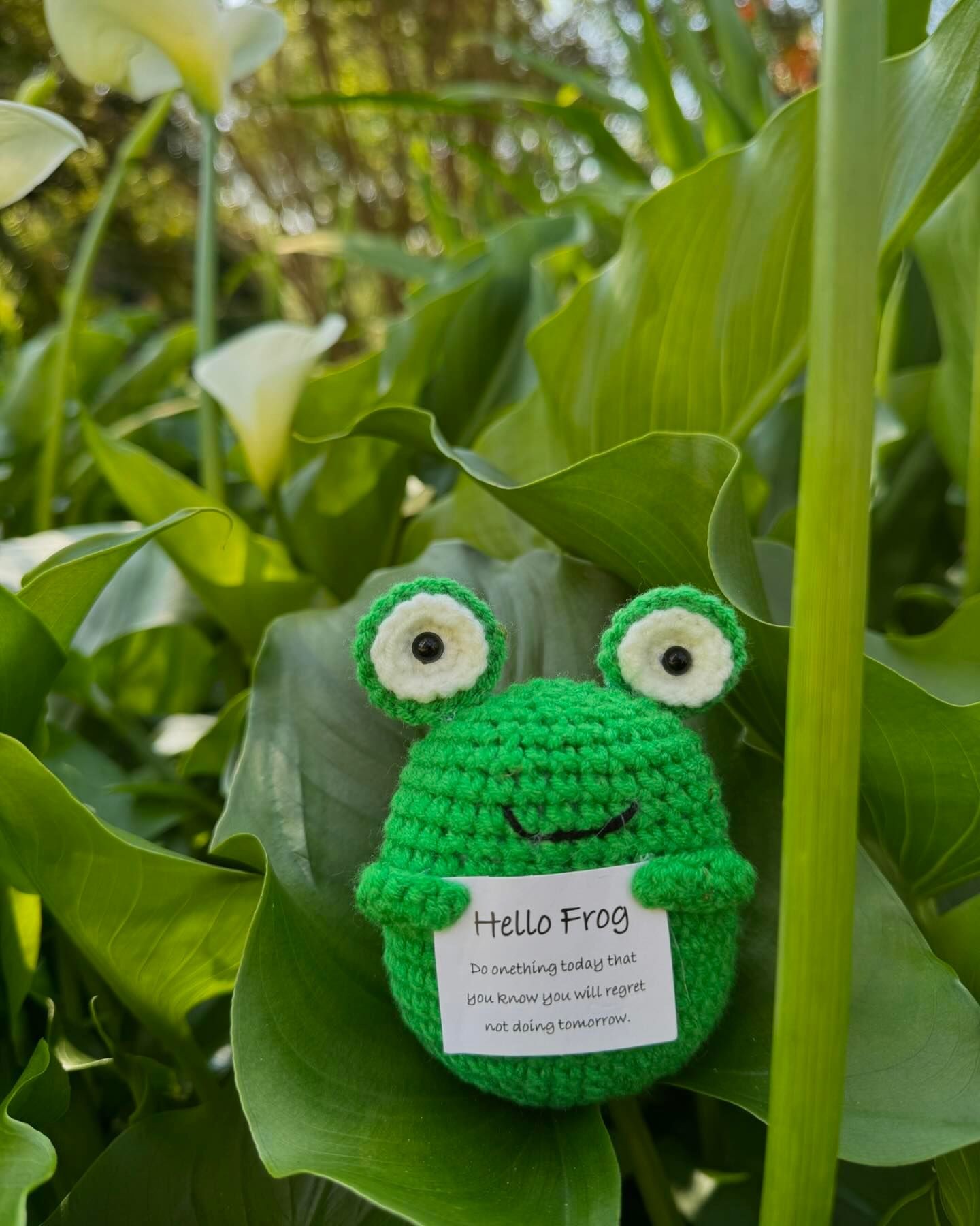 Crocheted green frog holding a sign with text, surrounded by lush green leaves.